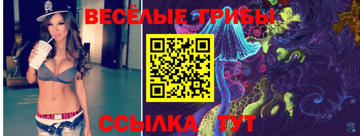 Заринск  Галлюциногенные грибы прущие грибы  Псилоцибиновые грибы мухоморы  Вход с VPN 